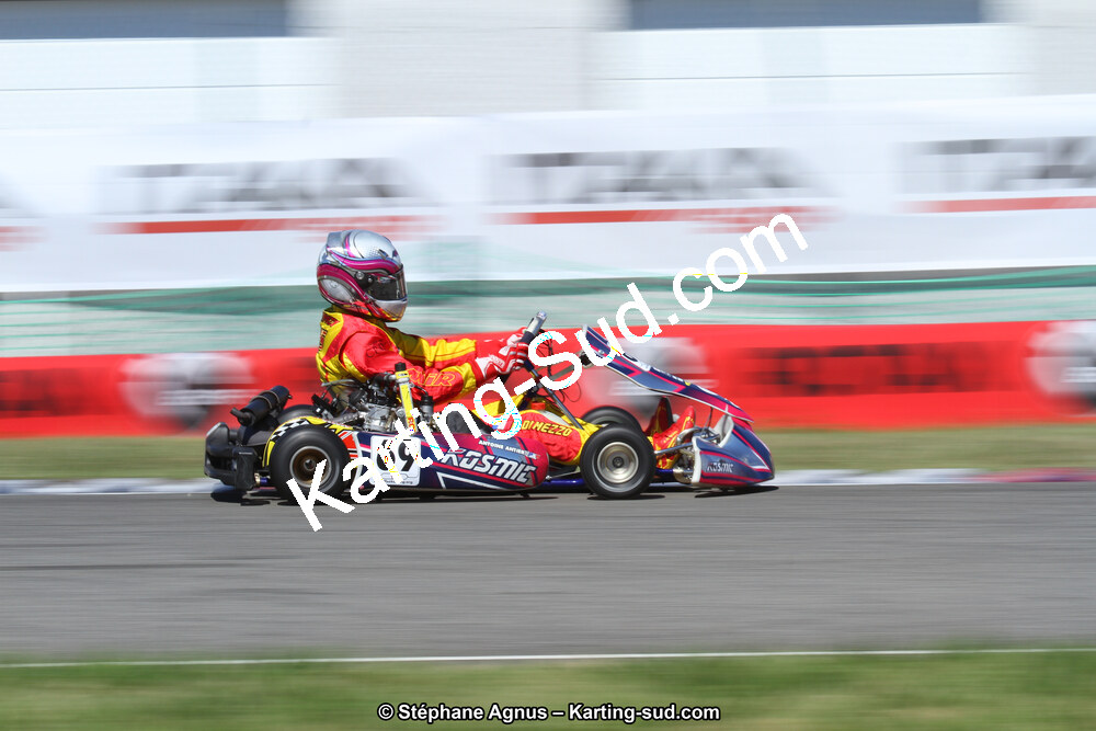 15 & 16/07/2017 : Championnat de France Rotax et Junior, Coupe de France Nationale à Muret (Photos Stéphane Agnus) 2017 — karting