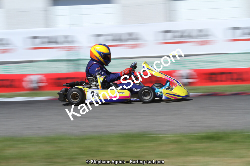 15 & 16/07/2017 : Championnat de France Rotax et Junior, Coupe de France Nationale à Muret (Photos Stéphane Agnus) 2017 — karting