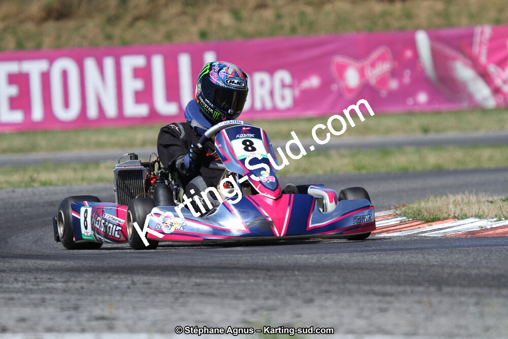 15 & 16/07/2017 : Championnat de France Rotax et Junior, Coupe de France Nationale à Muret (Photos Stéphane Agnus) 2017 — karting