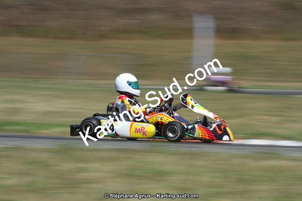 15 & 16/07/2017 : Championnat de France Rotax et Junior, Coupe de France Nationale à Muret (Photos Stéphane Agnus) 2017 — karting