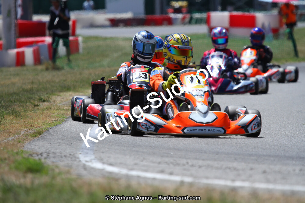 15 & 16/07/2017 : Championnat de France Rotax et Junior, Coupe de France Nationale à Muret (Photos Stéphane Agnus) 2017 — karting
