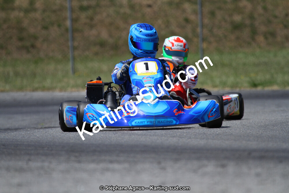 15 & 16/07/2017 : Championnat de France Rotax et Junior, Coupe de France Nationale à Muret (Photos Stéphane Agnus) 2017 — karting