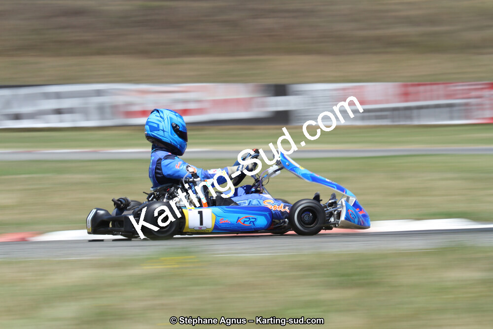 15 & 16/07/2017 : Championnat de France Rotax et Junior, Coupe de France Nationale à Muret (Photos Stéphane Agnus) 2017 — karting