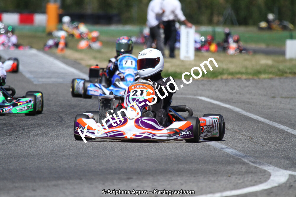 15 & 16/07/2017 : Championnat de France Rotax et Junior, Coupe de France Nationale à Muret (Photos Stéphane Agnus) 2017 — karting