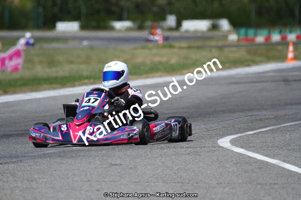 15 & 16/07/2017 : Championnat de France Rotax et Junior, Coupe de France Nationale à Muret (Photos Stéphane Agnus) 2017 — karting