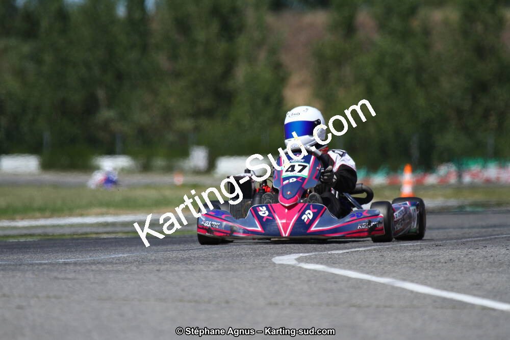 15 & 16/07/2017 : Championnat de France Rotax et Junior, Coupe de France Nationale à Muret (Photos Stéphane Agnus) 2017 — karting