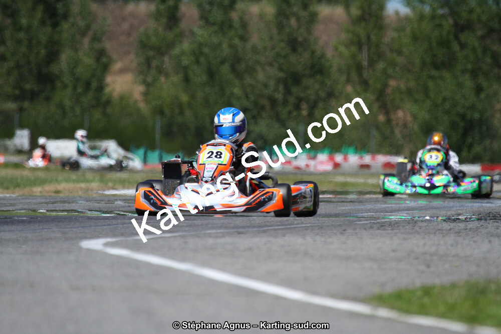 15 & 16/07/2017 : Championnat de France Rotax et Junior, Coupe de France Nationale à Muret (Photos Stéphane Agnus) 2017 — karting
