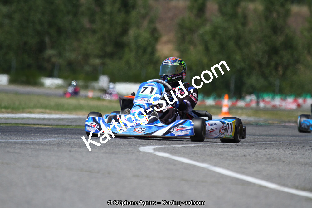 15 & 16/07/2017 : Championnat de France Rotax et Junior, Coupe de France Nationale à Muret (Photos Stéphane Agnus) 2017 — karting