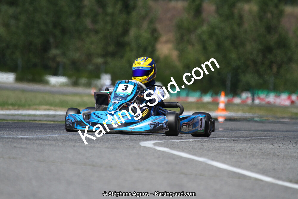 15 & 16/07/2017 : Championnat de France Rotax et Junior, Coupe de France Nationale à Muret (Photos Stéphane Agnus) 2017 — karting