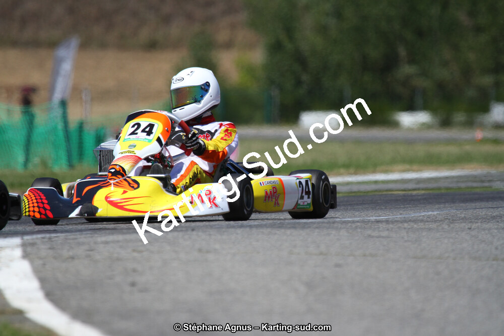 15 & 16/07/2017 : Championnat de France Rotax et Junior, Coupe de France Nationale à Muret (Photos Stéphane Agnus) 2017 — karting
