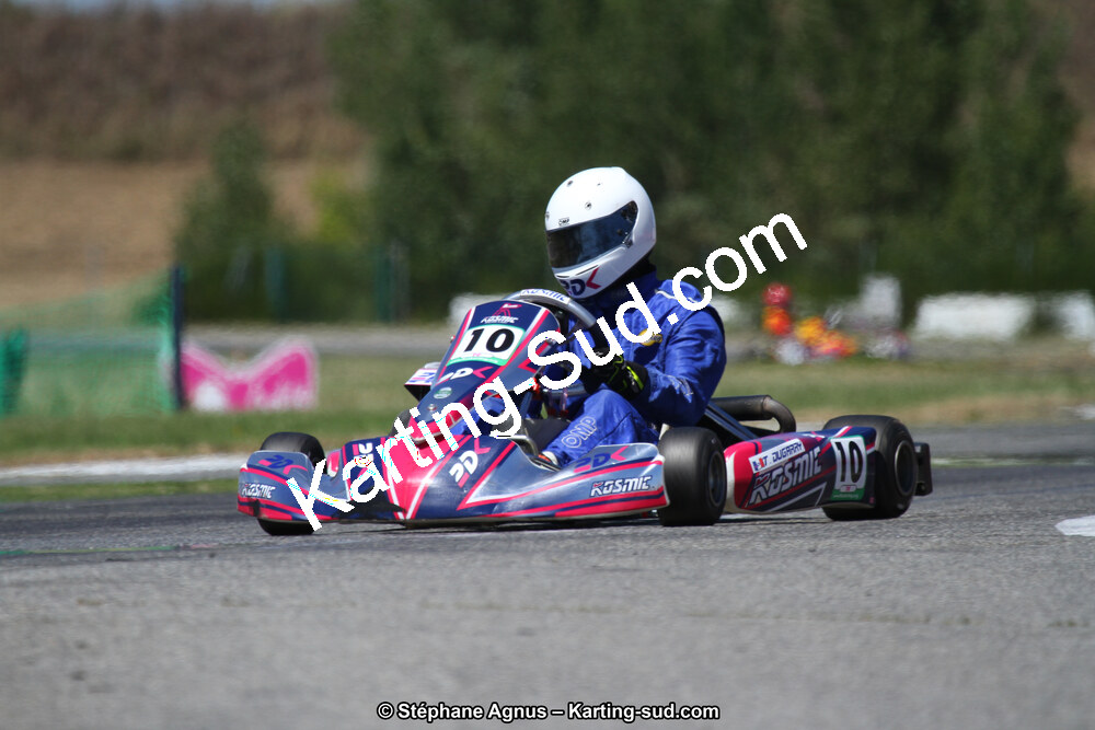 15 & 16/07/2017 : Championnat de France Rotax et Junior, Coupe de France Nationale à Muret (Photos Stéphane Agnus) 2017 — karting