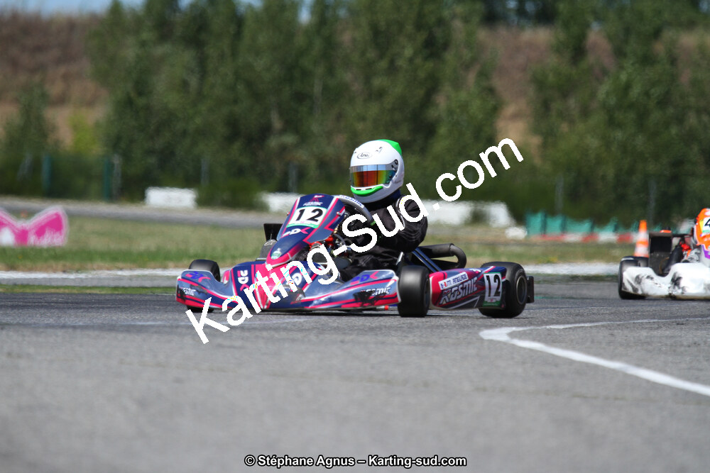 15 & 16/07/2017 : Championnat de France Rotax et Junior, Coupe de France Nationale à Muret (Photos Stéphane Agnus) 2017 — karting