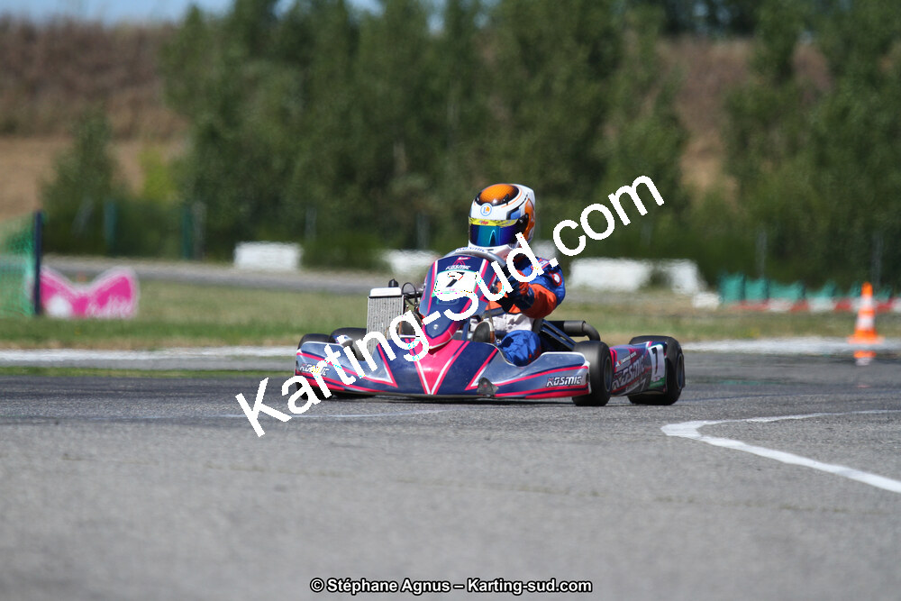 15 & 16/07/2017 : Championnat de France Rotax et Junior, Coupe de France Nationale à Muret (Photos Stéphane Agnus) 2017 — karting