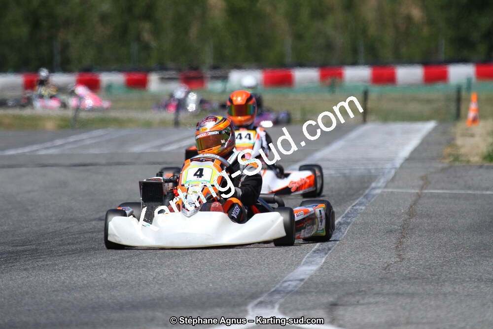 15 & 16/07/2017 : Championnat de France Rotax et Junior, Coupe de France Nationale à Muret (Photos Stéphane Agnus) 2017 — karting