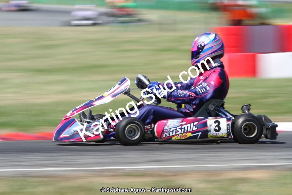 15 & 16/07/2017 : Championnat de France Rotax et Junior, Coupe de France Nationale à Muret (Photos Stéphane Agnus) 2017 — karting