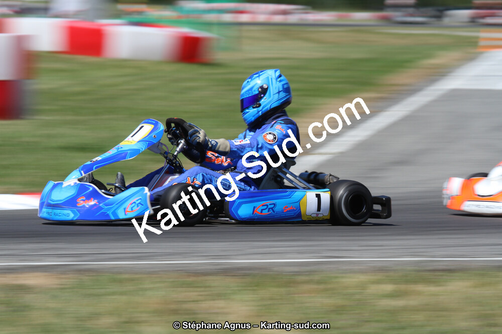15 & 16/07/2017 : Championnat de France Rotax et Junior, Coupe de France Nationale à Muret (Photos Stéphane Agnus) 2017 — karting
