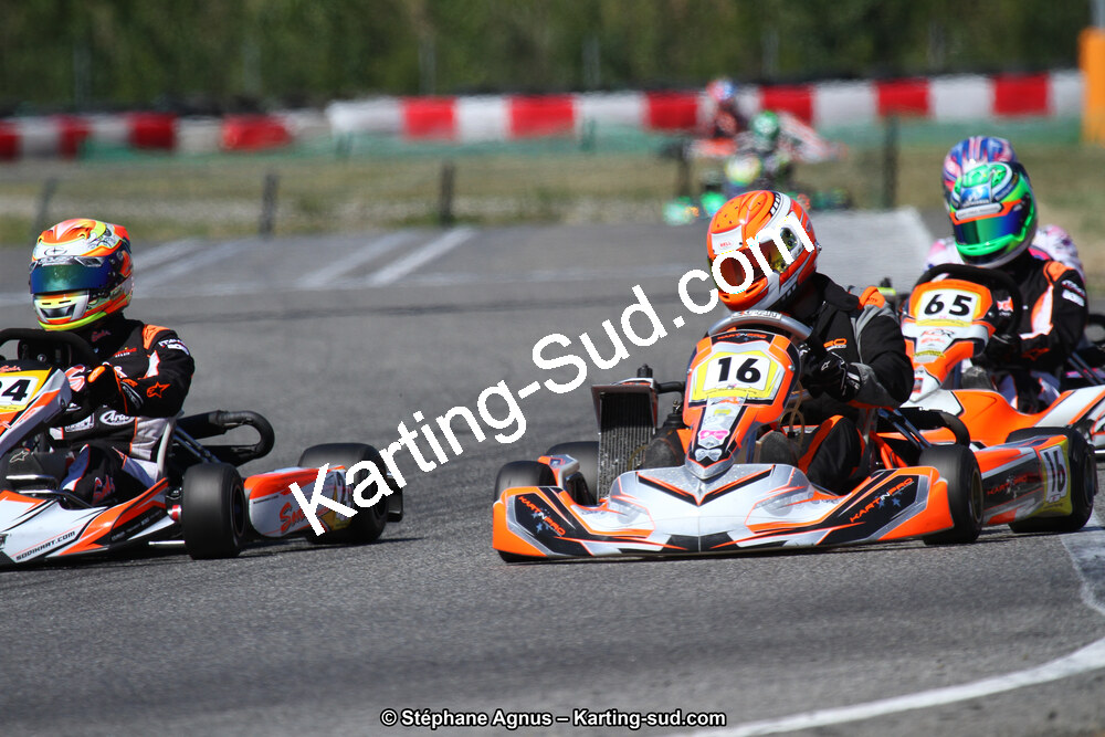15 & 16/07/2017 : Championnat de France Rotax et Junior, Coupe de France Nationale à Muret (Photos Stéphane Agnus) 2017 — karting