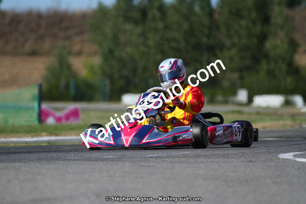 15 & 16/07/2017 : Championnat de France Rotax et Junior, Coupe de France Nationale à Muret (Photos Stéphane Agnus) 2017 — karting