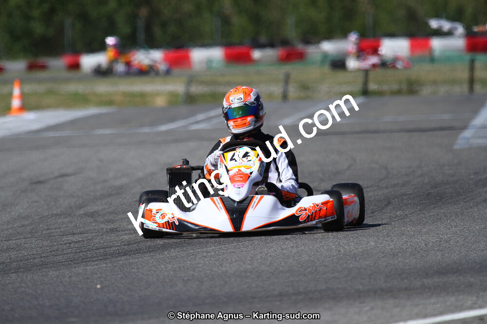 15 & 16/07/2017 : Championnat de France Rotax et Junior, Coupe de France Nationale à Muret (Photos Stéphane Agnus) 2017 — karting