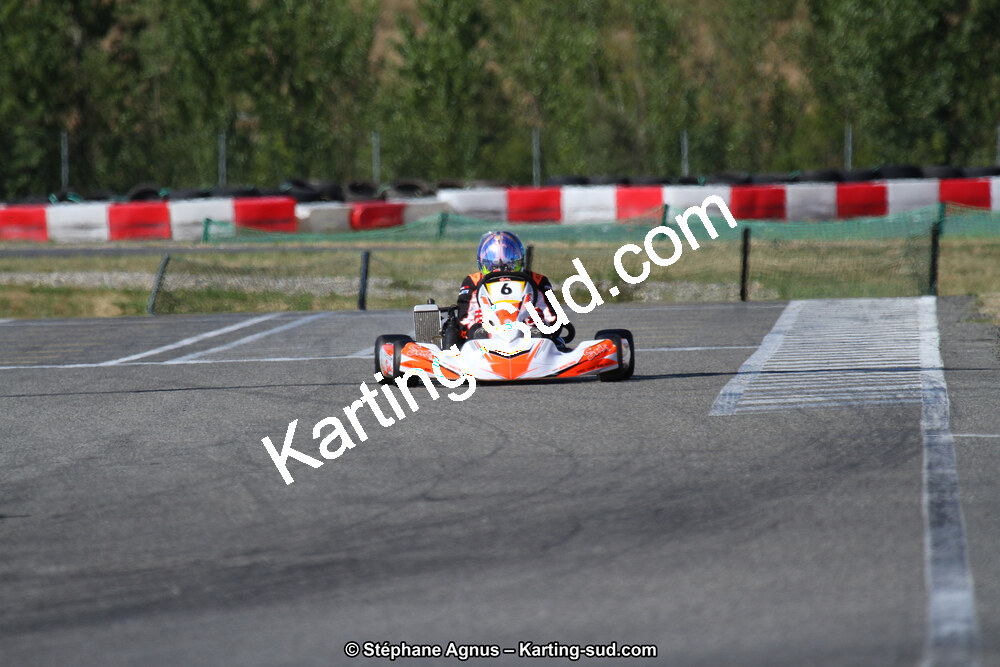 15 & 16/07/2017 : Championnat de France Rotax et Junior, Coupe de France Nationale à Muret (Photos Stéphane Agnus) 2017 — karting