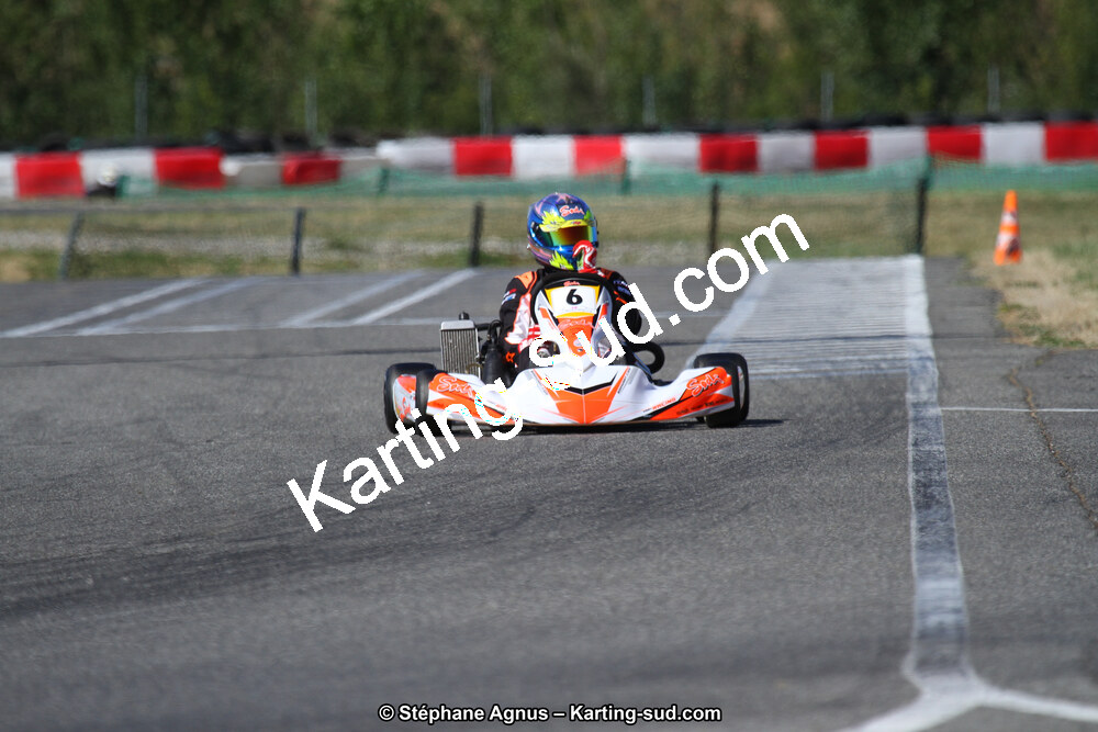 15 & 16/07/2017 : Championnat de France Rotax et Junior, Coupe de France Nationale à Muret (Photos Stéphane Agnus) 2017 — karting
