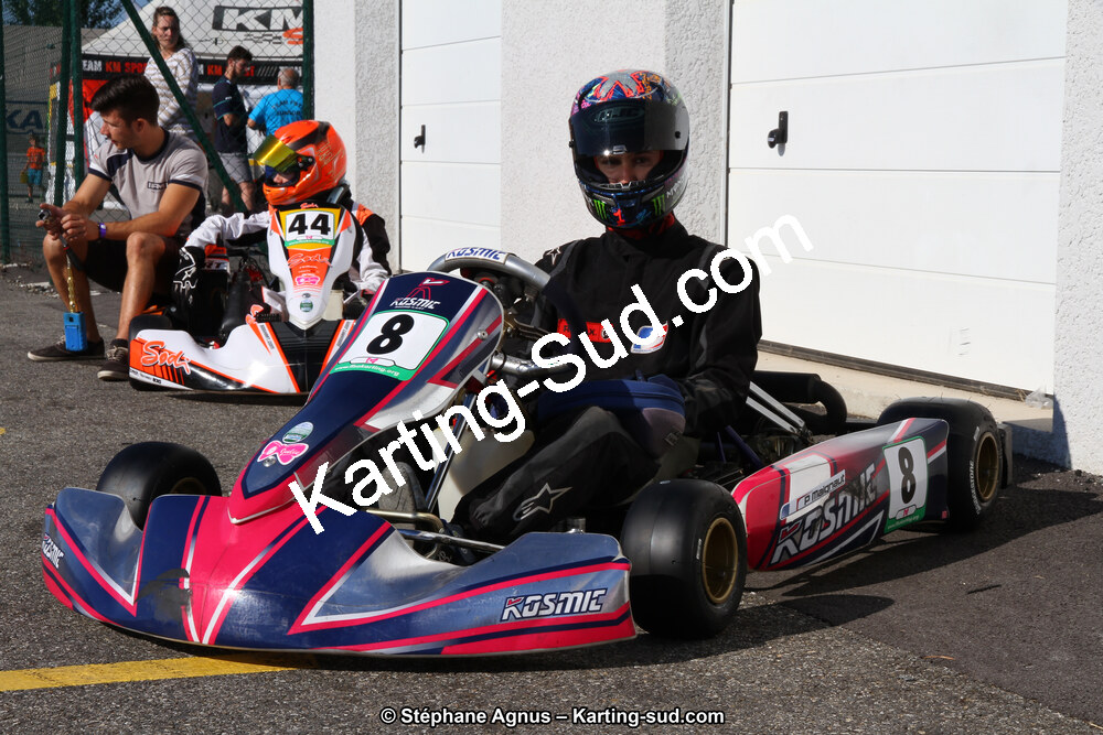 15 & 16/07/2017 : Championnat de France Rotax et Junior, Coupe de France Nationale à Muret (Photos Stéphane Agnus) 2017 — karting