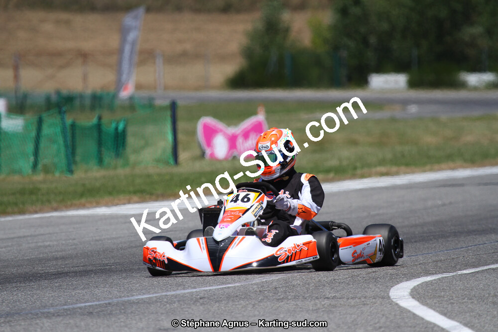 15 & 16/07/2017 : Championnat de France Rotax et Junior, Coupe de France Nationale à Muret (Photos Stéphane Agnus) 2017 — karting