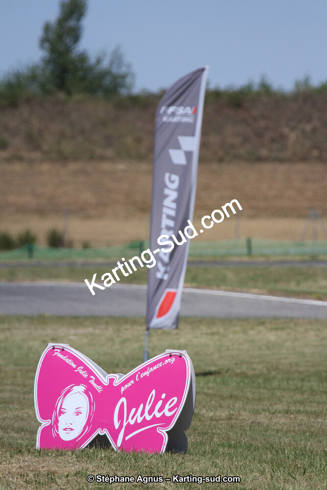 15 & 16/07/2017 : Championnat de France Rotax et Junior, Coupe de France Nationale à Muret (Photos Stéphane Agnus) 2017 — karting