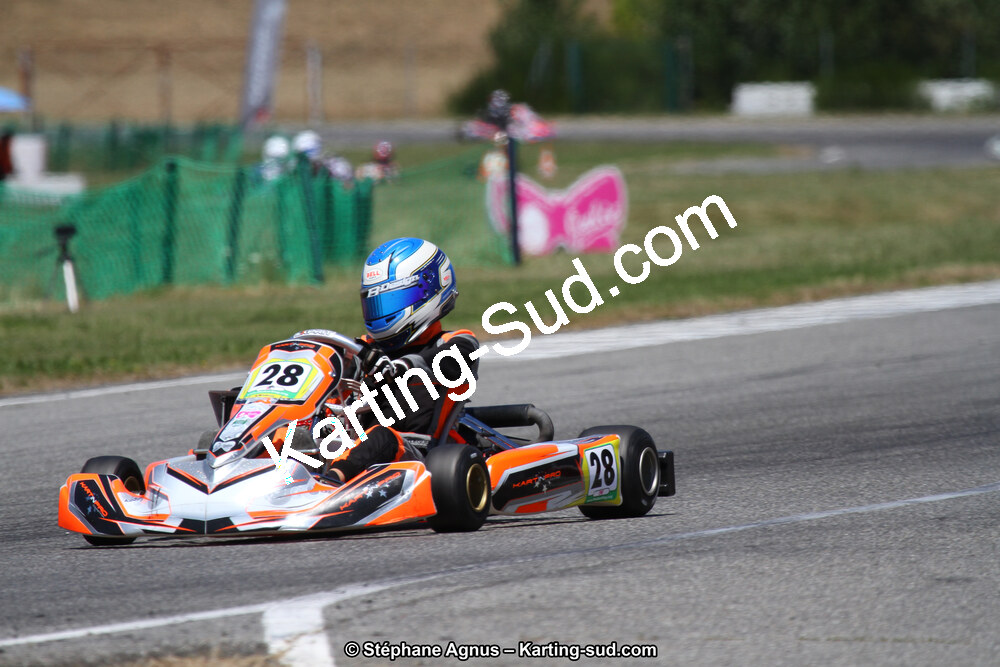 15 & 16/07/2017 : Championnat de France Rotax et Junior, Coupe de France Nationale à Muret (Photos Stéphane Agnus) 2017 — karting