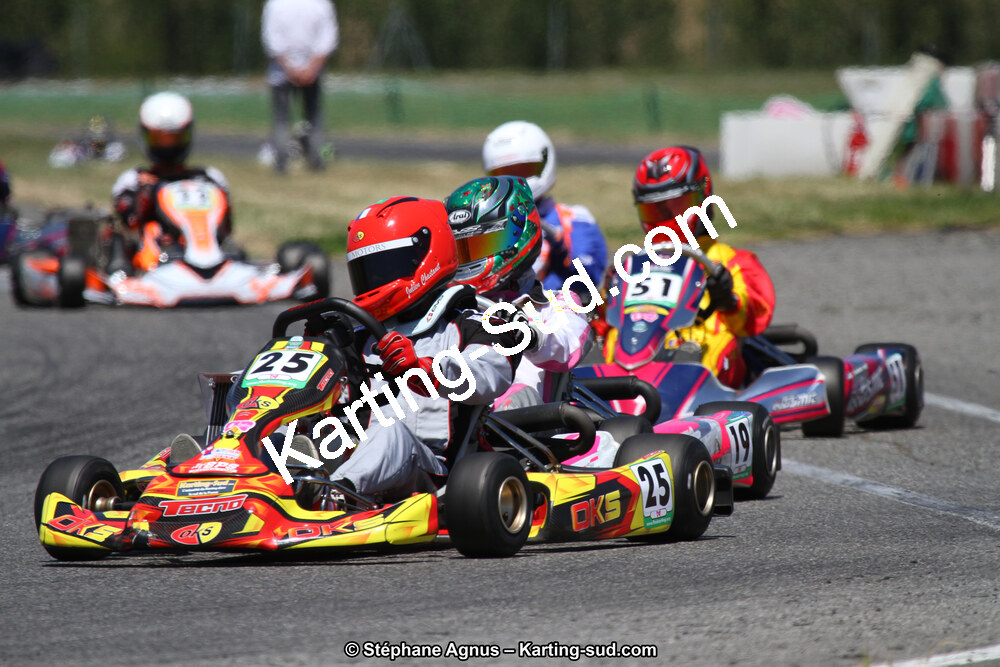 15 & 16/07/2017 : Championnat de France Rotax et Junior, Coupe de France Nationale à Muret (Photos Stéphane Agnus) 2017 — karting