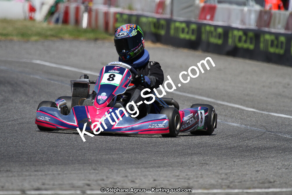 15 & 16/07/2017 : Championnat de France Rotax et Junior, Coupe de France Nationale à Muret (Photos Stéphane Agnus) 2017 — karting