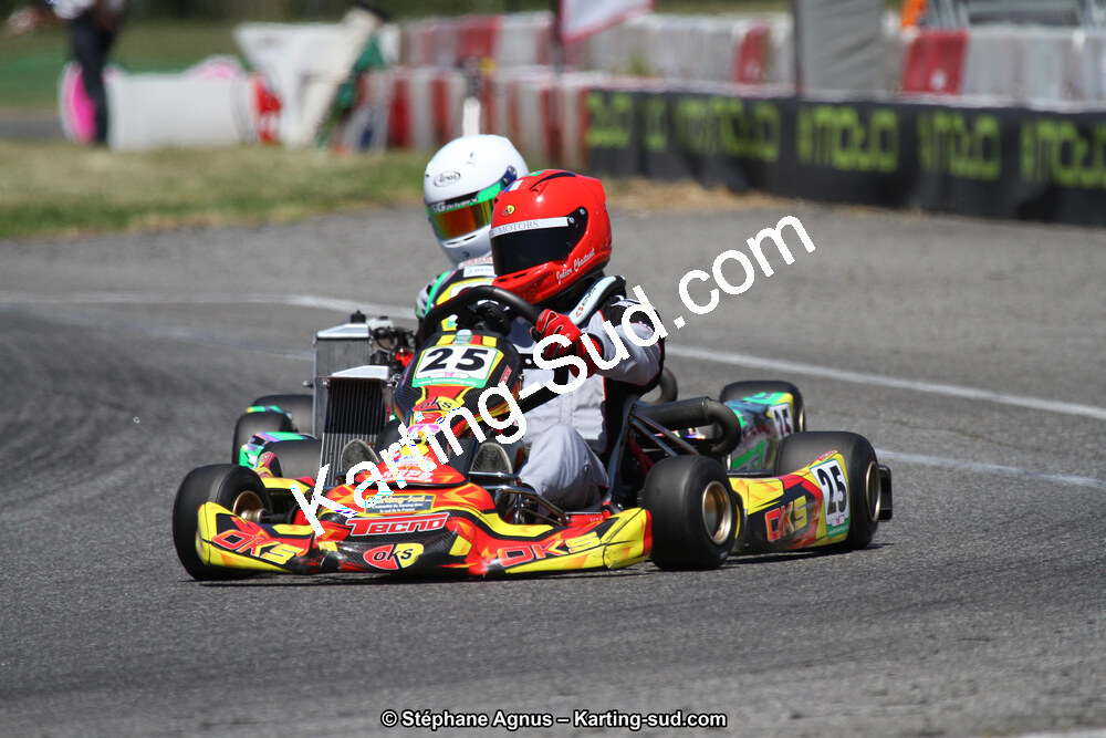 15 & 16/07/2017 : Championnat de France Rotax et Junior, Coupe de France Nationale à Muret (Photos Stéphane Agnus) 2017 — karting