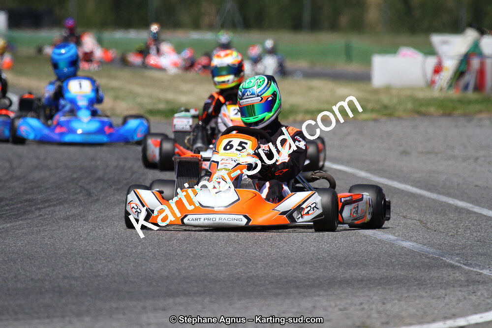 15 & 16/07/2017 : Championnat de France Rotax et Junior, Coupe de France Nationale à Muret (Photos Stéphane Agnus) 2017 — karting