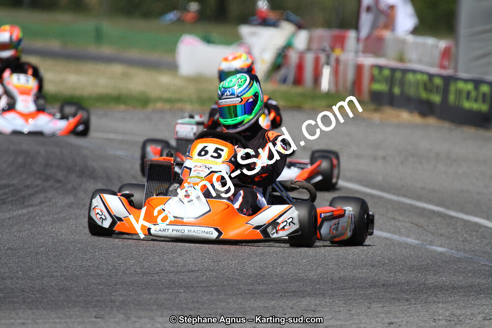 15 & 16/07/2017 : Championnat de France Rotax et Junior, Coupe de France Nationale à Muret (Photos Stéphane Agnus) 2017 — karting