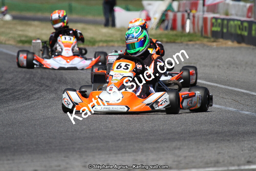 15 & 16/07/2017 : Championnat de France Rotax et Junior, Coupe de France Nationale à Muret (Photos Stéphane Agnus) 2017 — karting