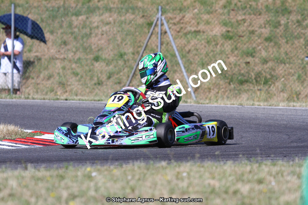 15 & 16/07/2017 : Championnat de France Rotax et Junior, Coupe de France Nationale à Muret (Photos Stéphane Agnus) 2017 — karting