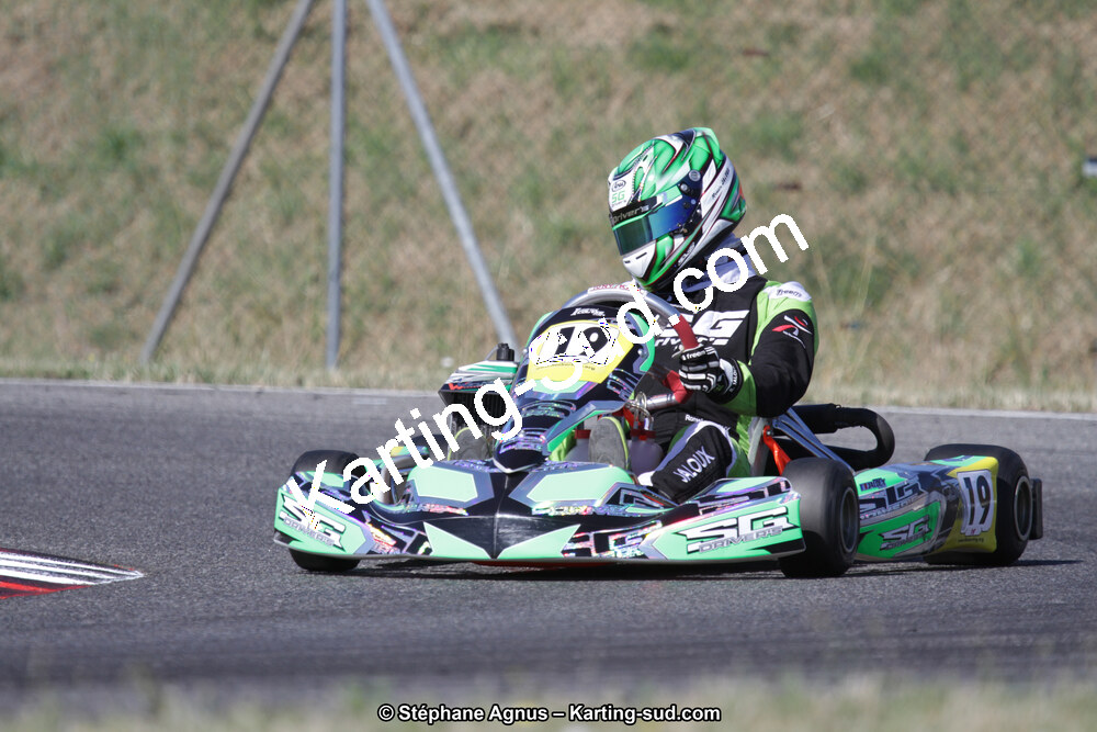 15 & 16/07/2017 : Championnat de France Rotax et Junior, Coupe de France Nationale à Muret (Photos Stéphane Agnus) 2017 — karting