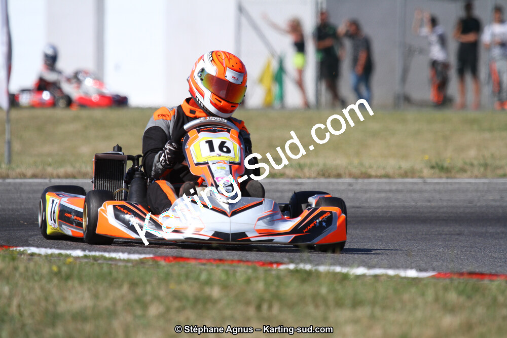 15 & 16/07/2017 : Championnat de France Rotax et Junior, Coupe de France Nationale à Muret (Photos Stéphane Agnus) 2017 — karting
