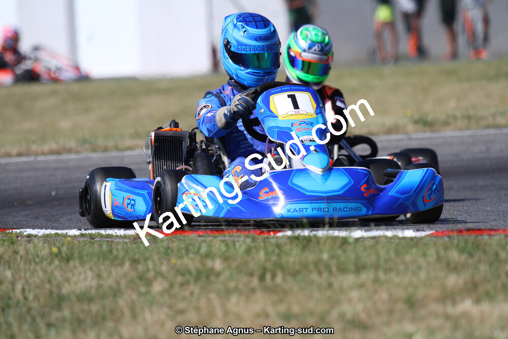 15 & 16/07/2017 : Championnat de France Rotax et Junior, Coupe de France Nationale à Muret (Photos Stéphane Agnus) 2017 — karting