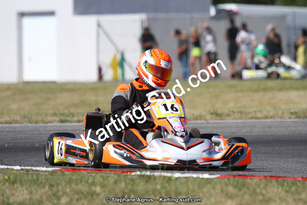 15 & 16/07/2017 : Championnat de France Rotax et Junior, Coupe de France Nationale à Muret (Photos Stéphane Agnus) 2017 — karting