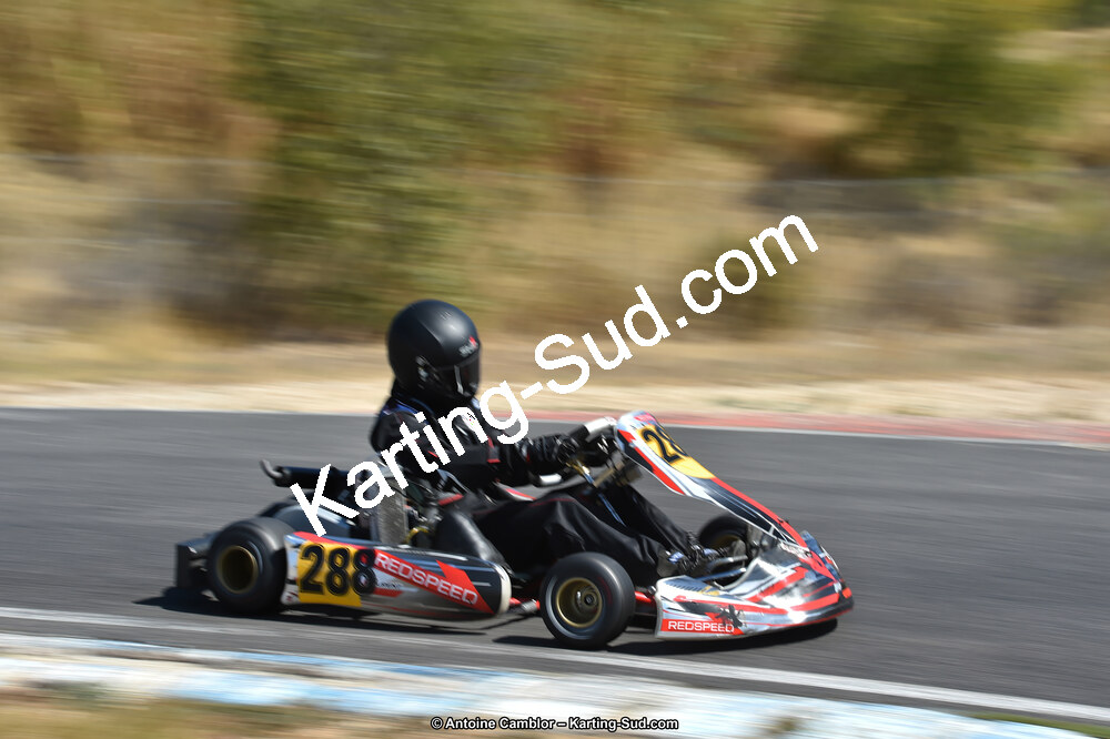 D4S_0278_DxO.jpg