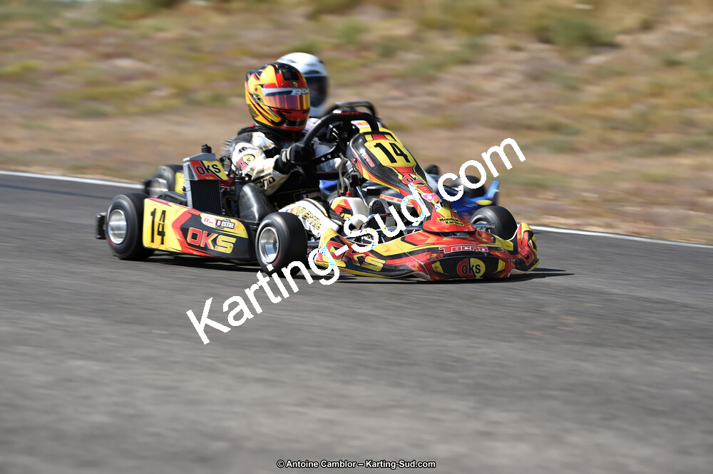 D4S_0951_DxO.jpg