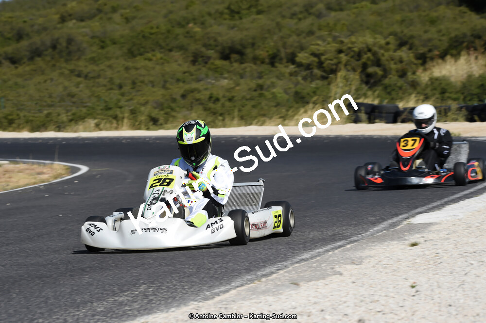 D4S_1130_DxO.jpg
