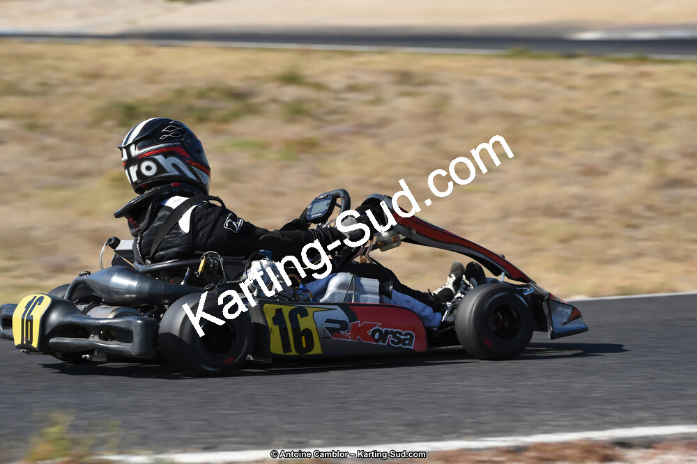 D4S_1305_DxO.jpg