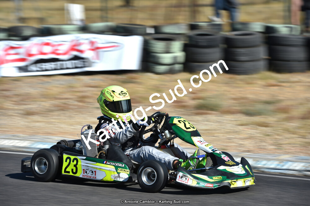 D4S_9537_DxO.jpg