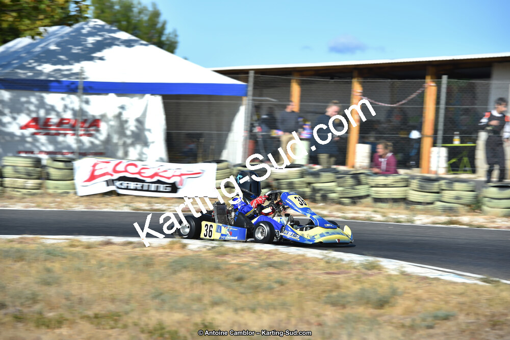 D4S_9559_DxO.jpg