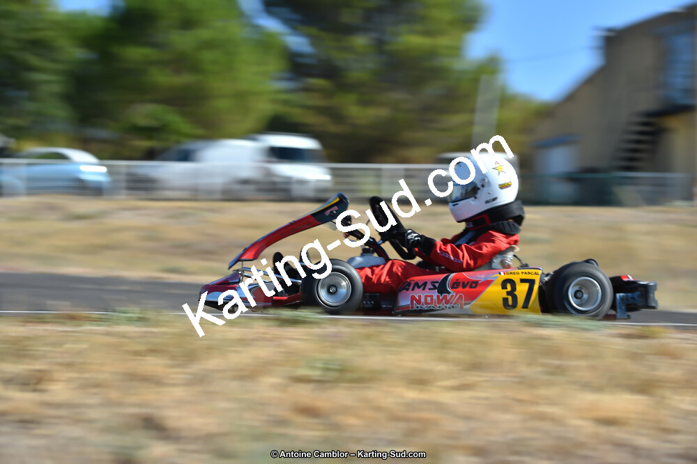 D4S_9629_DxO.jpg