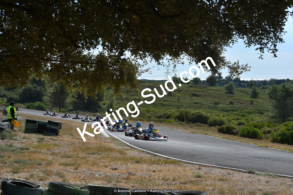 D4S_9950_DxO.jpg