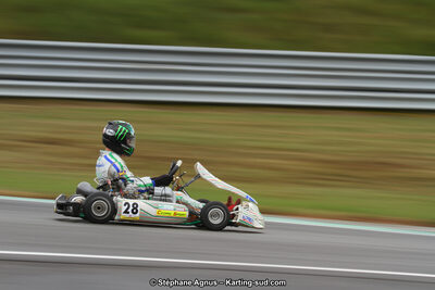 04 & 05/11/2017 : Championnat de France Long Circuit et Trophée Long Circuit TTI Carbone à Pau Arnos (Photos Stéphane Agnus) 2017 — karting