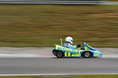 04 & 05/11/2017 : Championnat de France Long Circuit et Trophée Long Circuit TTI Carbone à Pau Arnos (Photos Stéphane Agnus) 2017 — karting